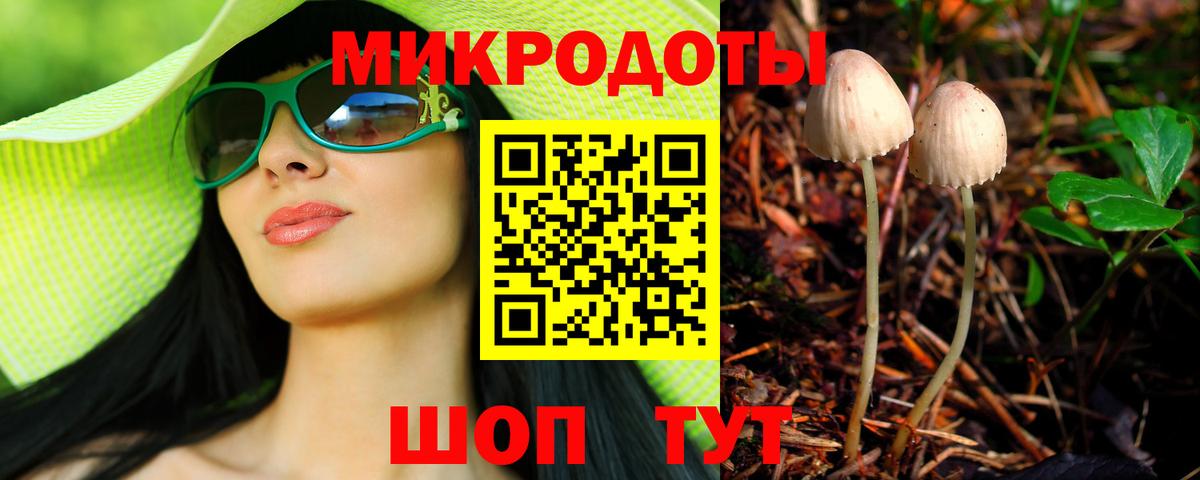 Галлюциногенные грибы Psilocybe Октябрьский