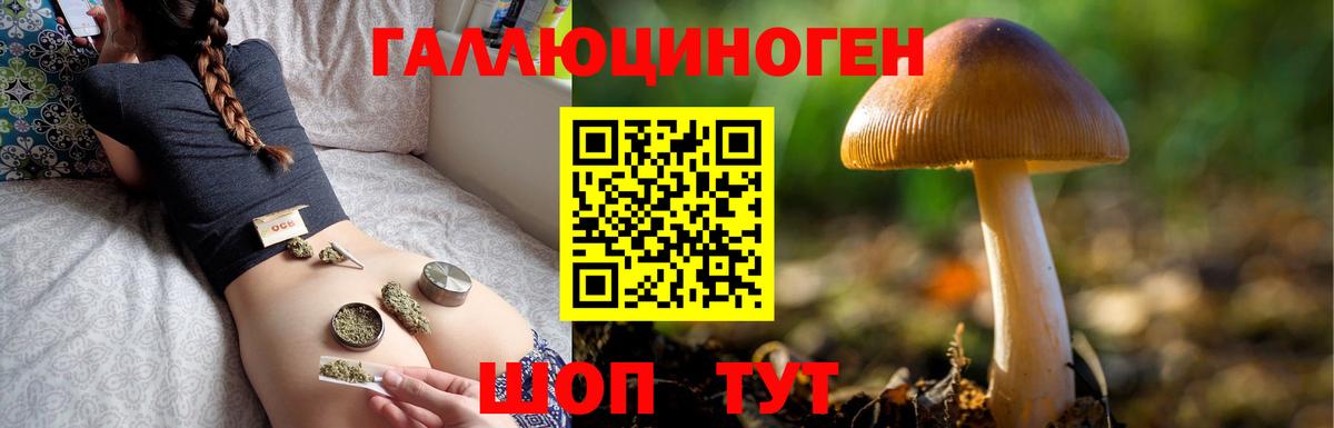 Галлюциногенные грибы GOLDEN TEACHER  Вход с VPN  Октябрьский 